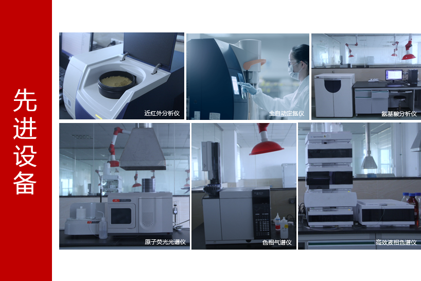 PA�콢��ƽ̨(�й���)�ٷ���վ-PA PlayAce