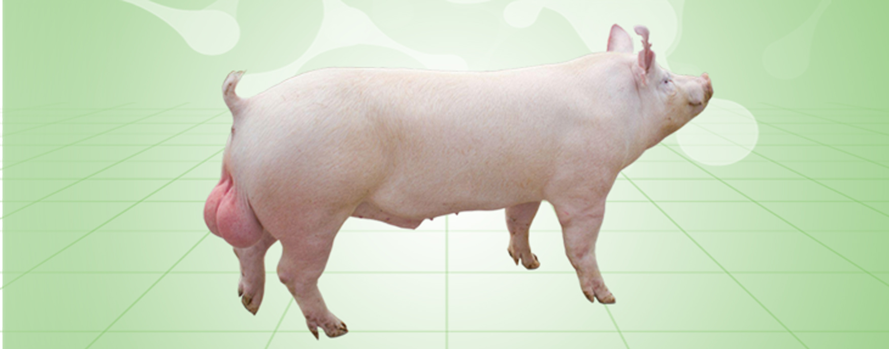 PA�콢��ƽ̨(�й���)�ٷ���վ-PA PlayAce