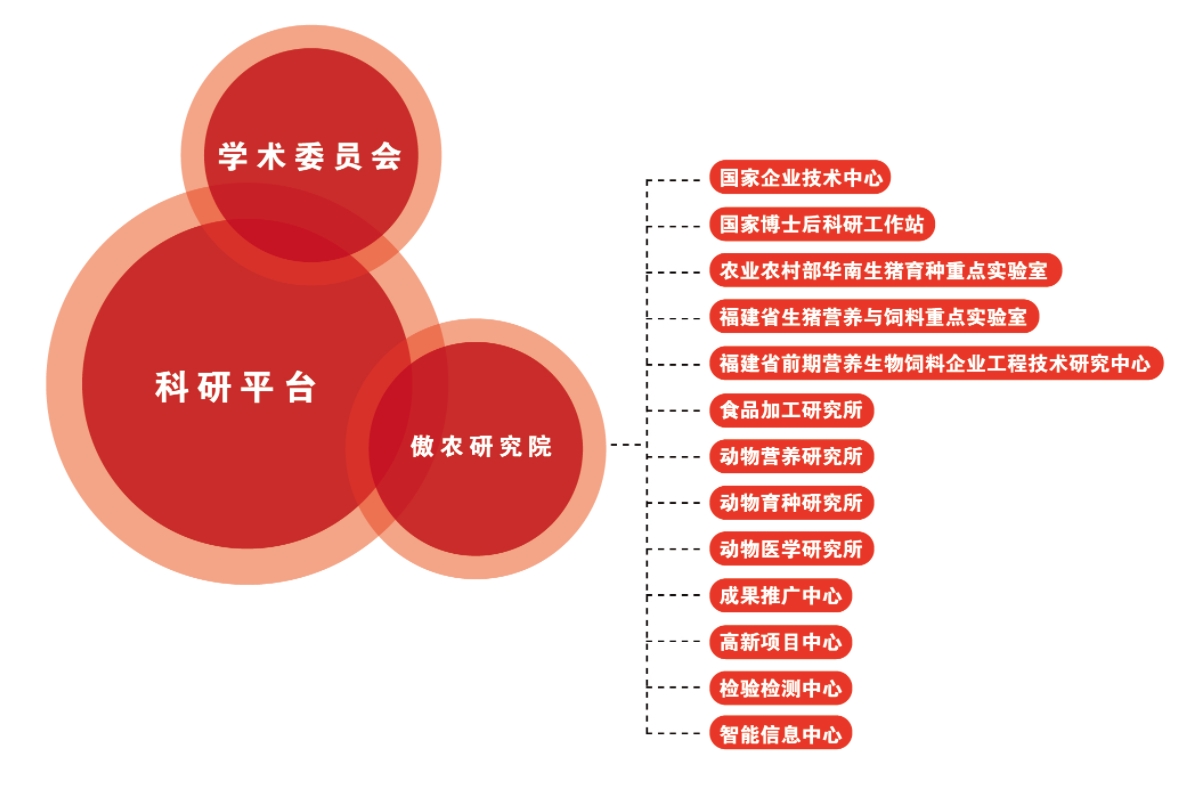 PA�콢��ƽ̨(�й���)�ٷ���վ-PA PlayAce